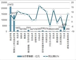 生活日用品市场分析报告_2022-2028年中国生活日用品市场研究与市场需求预测报告_产业研究报告网