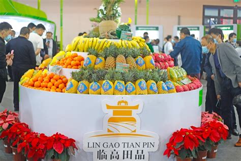 2021年中国(海南)国际热带农产品冬季交易会举行 李军宣布开幕并巡馆-新闻中心-南海网