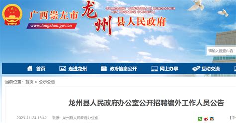 2023广西崇左市龙州县人民政府办公室招聘编外人员1人（11月24日至29日报名）
