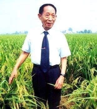袁隆平透露超级稻进展:17吨/公顷已有九成把握_手机新浪网