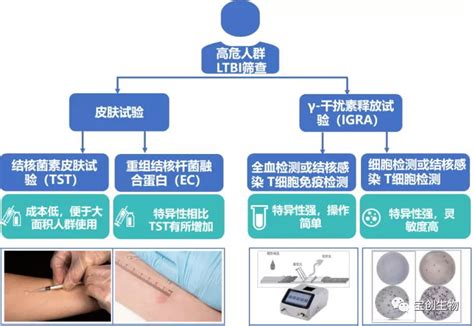 王辉教授：结核的病原学诊断进展——遏制、终止、终结肺结核（3）-新冠-呼吸界