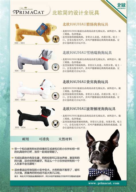派多格宠物VI设计|平面|品牌|北京品牌工场 - 原创作品 - 站酷 (ZCOOL)