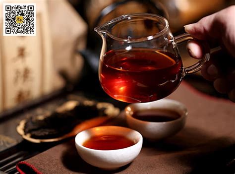 口粮茶和品质茶的区别_绿茶百科_绿茶说