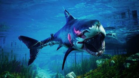 《食人鲨》PS5版评测：来一次R级片式的大快朵颐_3DM专栏