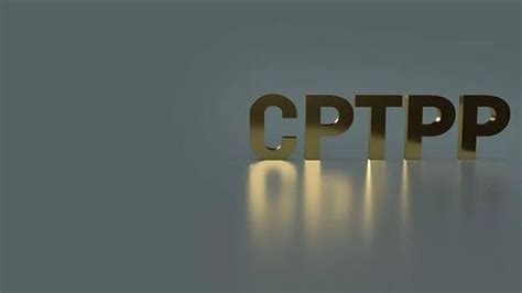 中国申请加入CPTPP最新进展：已对2300多项条款进行深入全面研究和评估_凤凰网