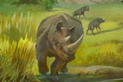 史前一万年，凶猛的猛犸象，也只是人类的食物_腾讯视频