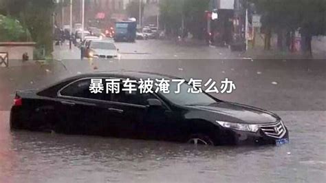 暴雨车被淹了怎么办_中华网汽车