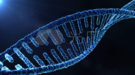 遗传信息流动中心法则与基因的结构和功能 - 血液病学 - 天山医学院