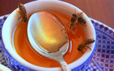 蜂蜜水一天喝多少合适？多少度安全？3种人不能喝，专家给出答案_温度