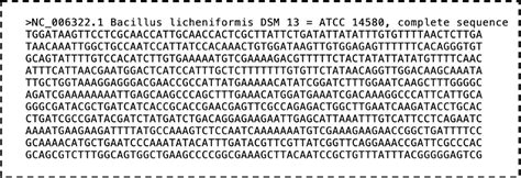 从细菌基因组中预测活性前噬菌体工具Prophage Hunter 的使用流程和常见问题 —BIO-101