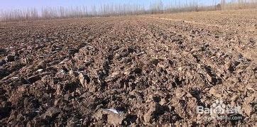 怎么才能让大量泥土变干_怎么样让泥土变肥沃-营养土批发网