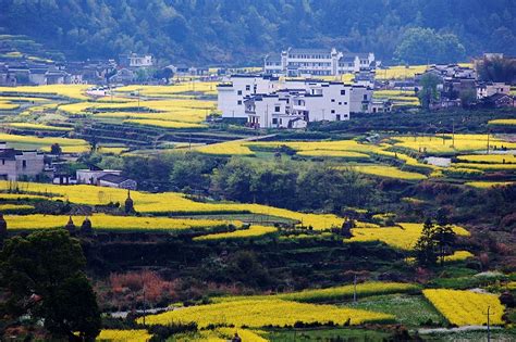 婺源何止是中国最美的乡村，婺源的美在于自然 婺源旅游攻略-介绍婺源油菜花|婺源景点|婺源自助游中国最美的乡村