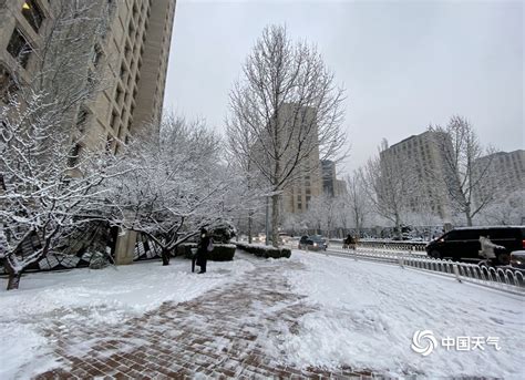 2020北京首场雪刷屏朋友圈 今冬的雪下得很认真-新闻频道-和讯网
