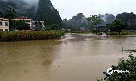 河池都安多地农作物被淹-广西高清图片-中国天气网