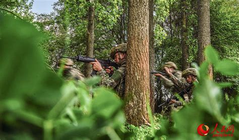 这是9月期间，法国陆军第35步兵团进行战术演习的画面。|步兵团|陆军|演习_新浪新闻