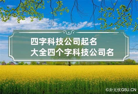 宁夏润丰新材料科技有限公司