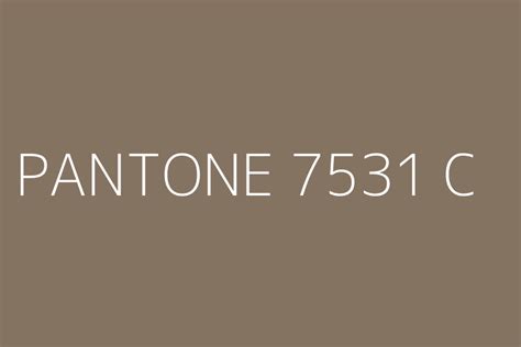 PANTONE 7531 C Color HEX code