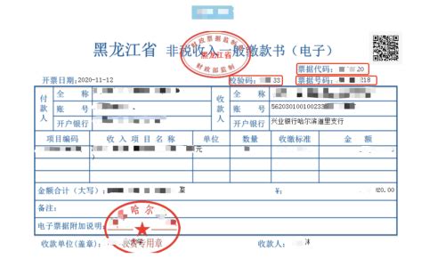 黑龙江省财政厅：2021年初级会计报名缴费及电子票据获取流程_中大网校