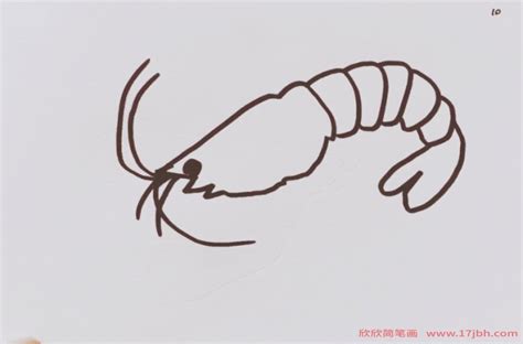 儿童简笔画大虾 大虾怎么画-动物简笔画-欣欣简笔画