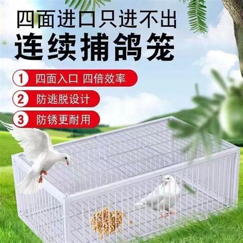 加粗鸽子笼子包邮鸽子用品用具鸽子养殖笼家用鸡笼家用大号折叠笼-淘宝网