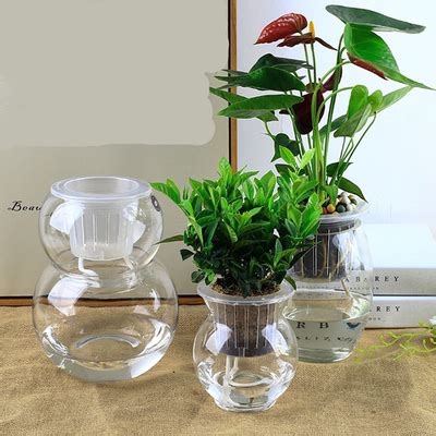 自动吸水浇水玻璃花瓶水培透明花盆 8.5元 - 千秋色