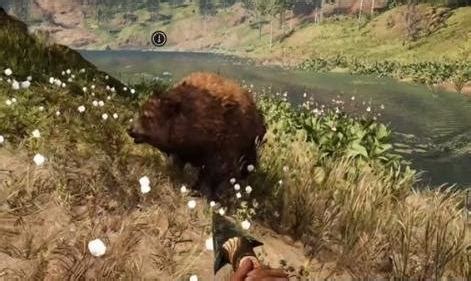孤岛惊魂：原始杀戮棕熊详细图文攻略_开心电玩