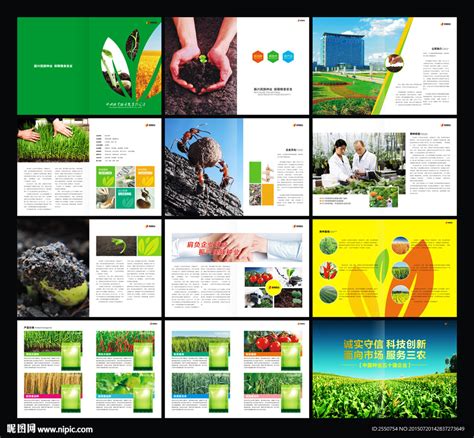 新闻-三北种业(SanbeiSeed)-种子,玉米种子,种业公司,高产栽培,农业技术