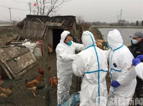 全球首例人感染H7N4禽流感病例 在江苏被发现_大苏网_腾讯网