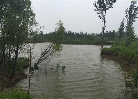 广东省惠州市惠东县45亩坑塘水面出租- 聚土网