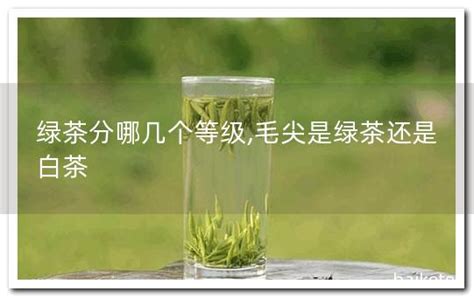 绿茶的等级划分标准图,特级,高级(第13页)_大山谷图库