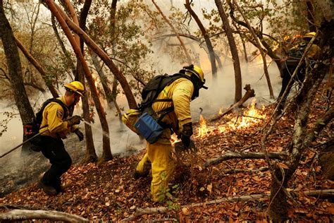 一片火海！美国加州“酒乡”遭遇大火 千亩土地被毁