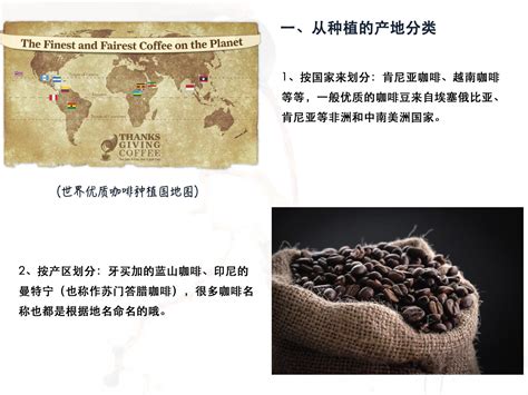 咖啡的完全入门指南 - ANTAICOFFEE广州安泰咖啡食品有限公司