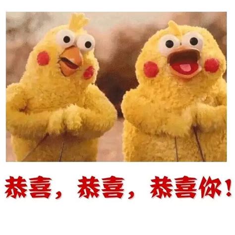 恭喜恭喜图片