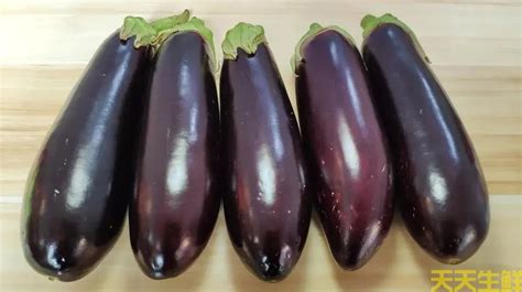 新鲜茄子 线茄子细长小茄子福建农家现摘茄瓜绿色蔬菜1-5斤-阿里巴巴