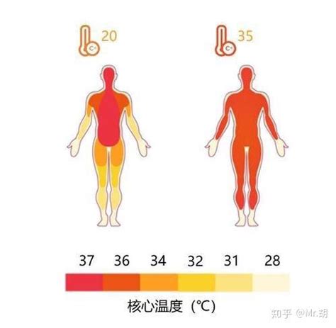 人的正常体温是37度吗 体温超过多少表示发热了 _八宝网