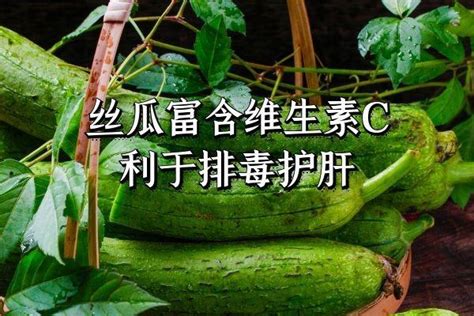 丝瓜的营养价值及功效与作用 吃丝瓜有什么好处_知秀网
