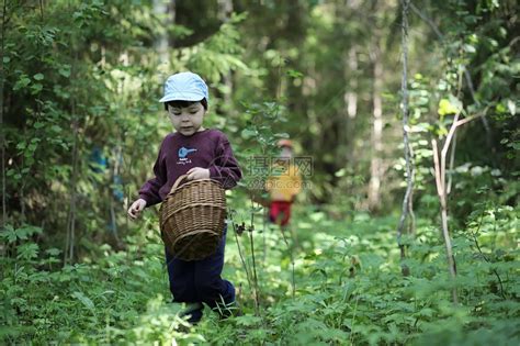 儿童聚集在最近的森林里寻找蘑高清图片下载-正版图片506246268-摄图网