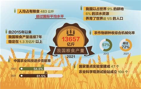 2019年中国的粮食播种面积、总产量、平均亩产、人均粮食产量分享__财经头条