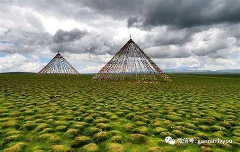 甘南，中国五大牧区之一。这里有让人目不暇接的绿！_草原