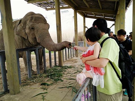 北京动物园门票预订_北京动物园门票价格_北京动物园门票多少钱【同程旅行】