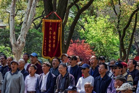 【高清图】鲁迅公园双休日合唱团-中关村在线摄影论坛