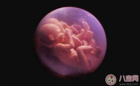 孕35周胎儿缺氧的症状-菠萝孕育
