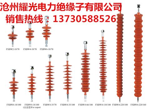 湖南醴陵宇建电瓷电器有限公司支柱绝缘子（10KV-330KV）线路绝缘子避雷器瓷套（10KV-35KV）