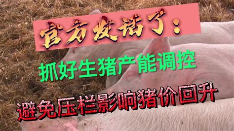 农业农村部：持续抓好生猪产能调控，避免盲目压栏影响价格回升！|猪价|养猪|养殖_新浪新闻