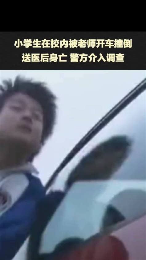 武汉“小学生校内被老师开车撞倒身亡”后，其母亲在小区坠楼身亡|武汉市|身亡|小学生_新浪新闻
