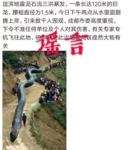 四川出现120米大蛇 19年宜宾地震震出120米巨蛇系谣言_奇闻异事 - 1316世界之最