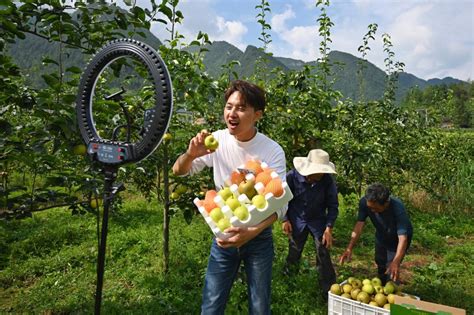 奉节县大数据产业为推动高质量发展注入新动力_奉节县人民政府