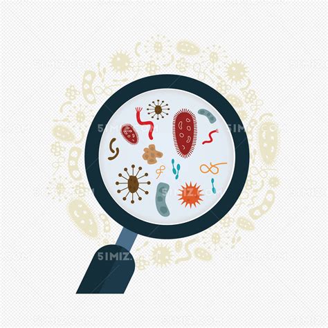 文献研读|李金良（2020级硕士）：Protein Cell|肠道微生物群在中药活性代谢产物鉴定中的作用-云南动物遗传实验室