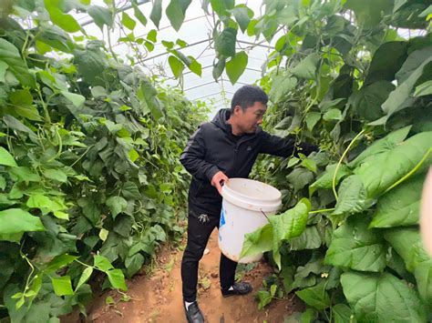 汤阴县各地农资销售部门积极储备农资产品