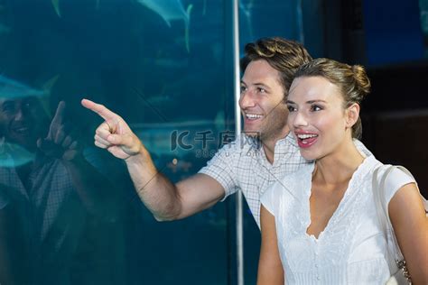 一对夫妇看着鱼缸里的鱼高清摄影大图-千库网